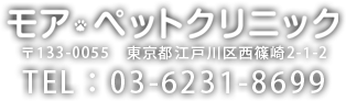 江戸川区篠崎の動物病院 モアペットクリニック