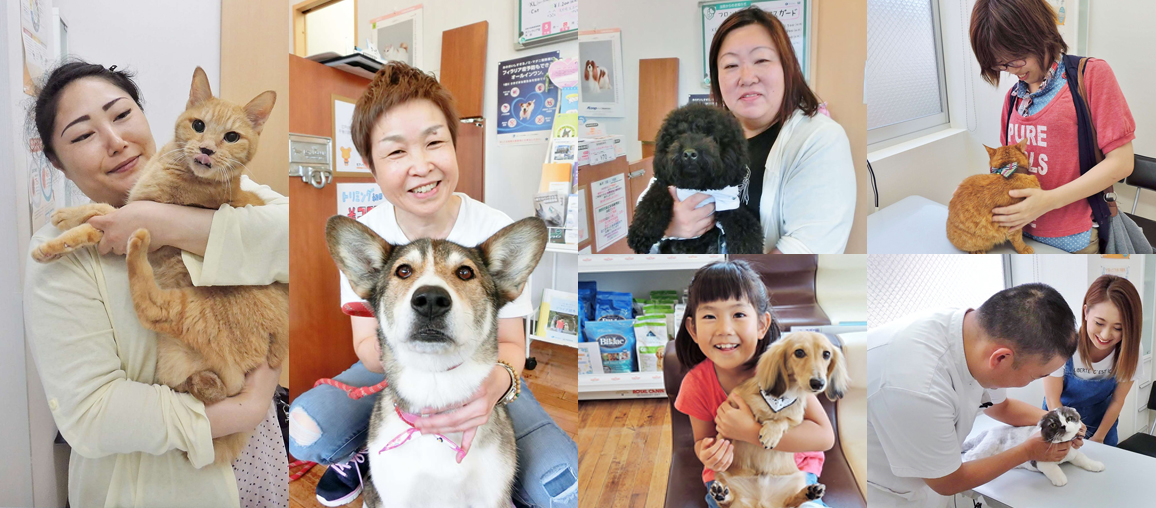 江戸川区篠崎の動物病院 モアペットクリニックの画像０２