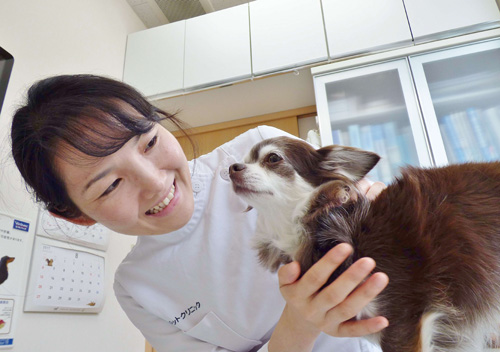 獣医師　渡邉　美智子